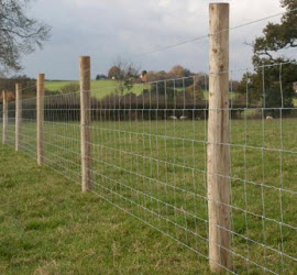 stockproof fencing plymouth