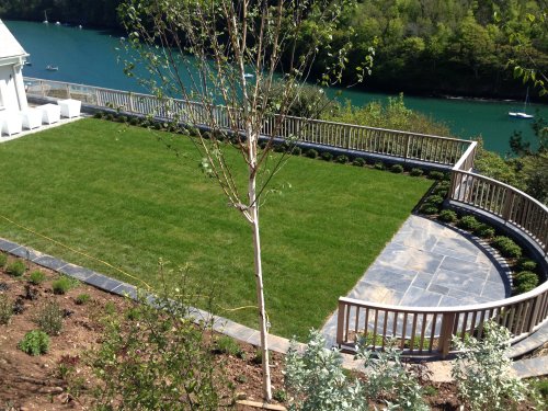Turfing and planting