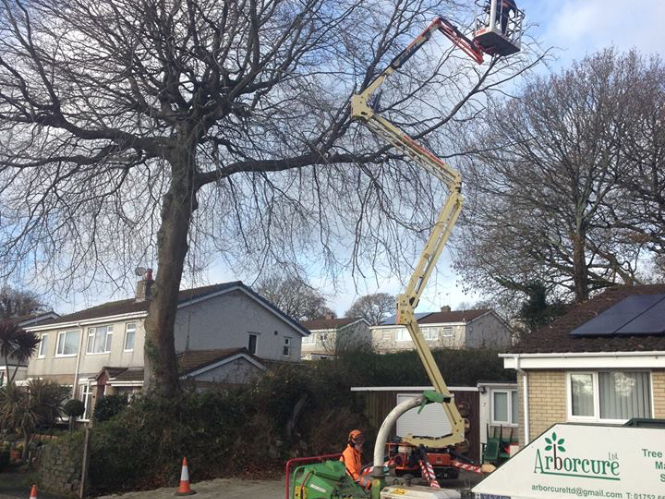 Cherry picker on a Commercial Grounds Maintenance job